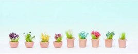 NOCH 14084 - ORNAMENTAL PLANTS IN POTS -  MODEL ACCESSORY SET - n SCALE