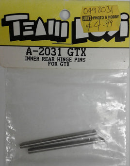 LOSI -TEAM LOSI A-2031 - GTX INNER REAR HINGE PINS