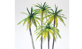 PREISER # 18600 - PALM TREES - 1:87 SCALE